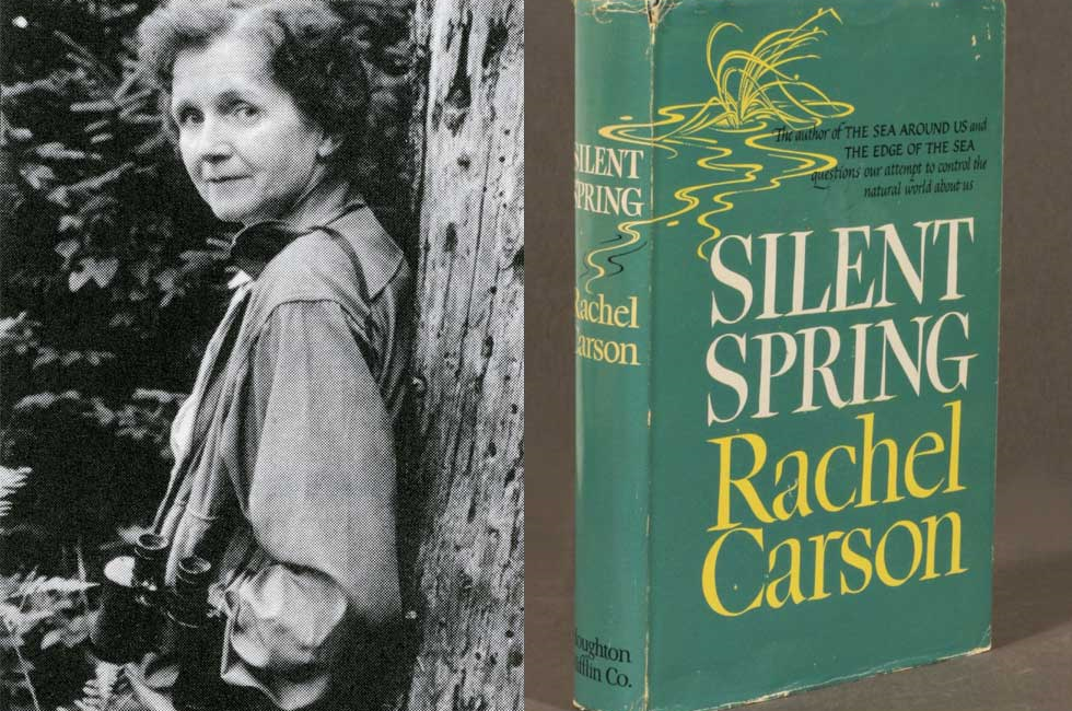 The Silent Spring