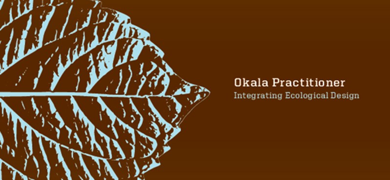 Okala Practitioner Guide